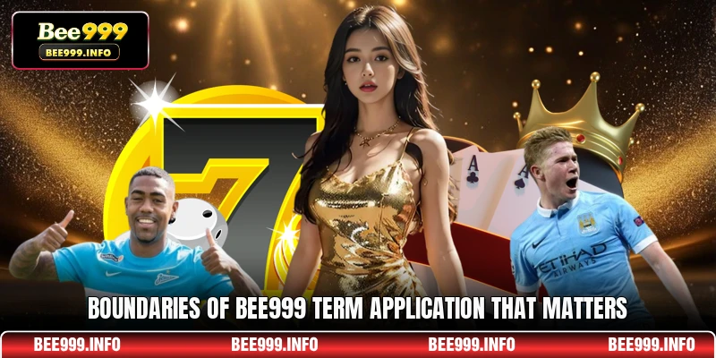 Boundaries of Bee999 term application that matters