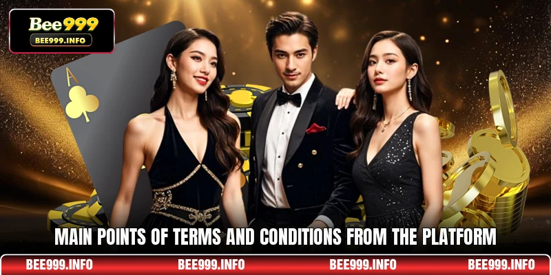 Main points of Terms and Conditions from the platform