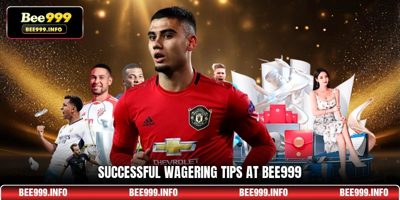 Successful wagering tips at Bee999