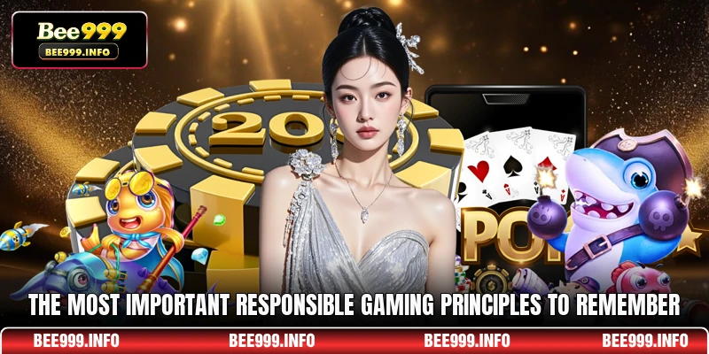 The most important Responsible Gaming principles to remember